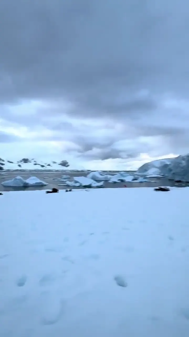 Snow-covered Antarctic shoreline with icebergs beyond, filmed on expedition