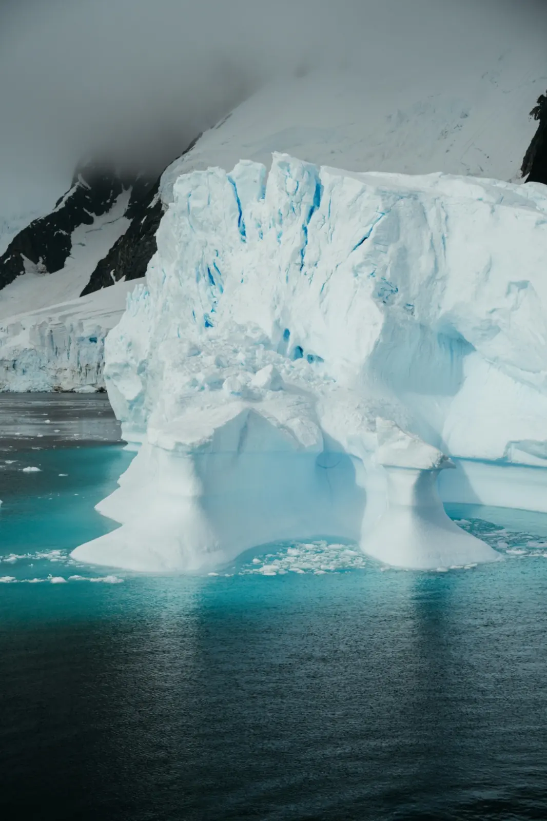 Towering glacier face meeting dark Antarctic water.