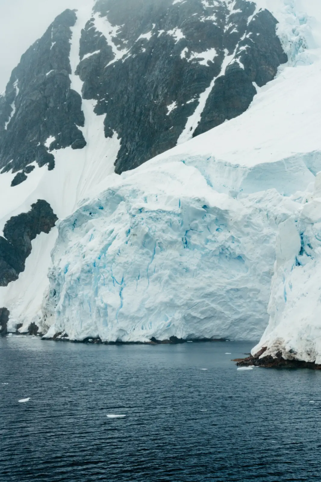 Glacier and snow-covered mountain rising from the sea.