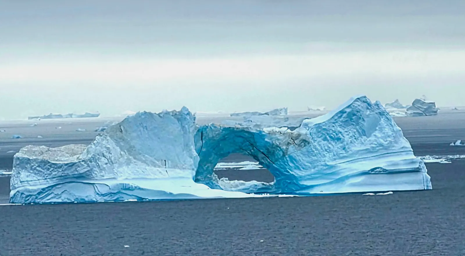Blue iceberg arch surrounded by open polar water.
