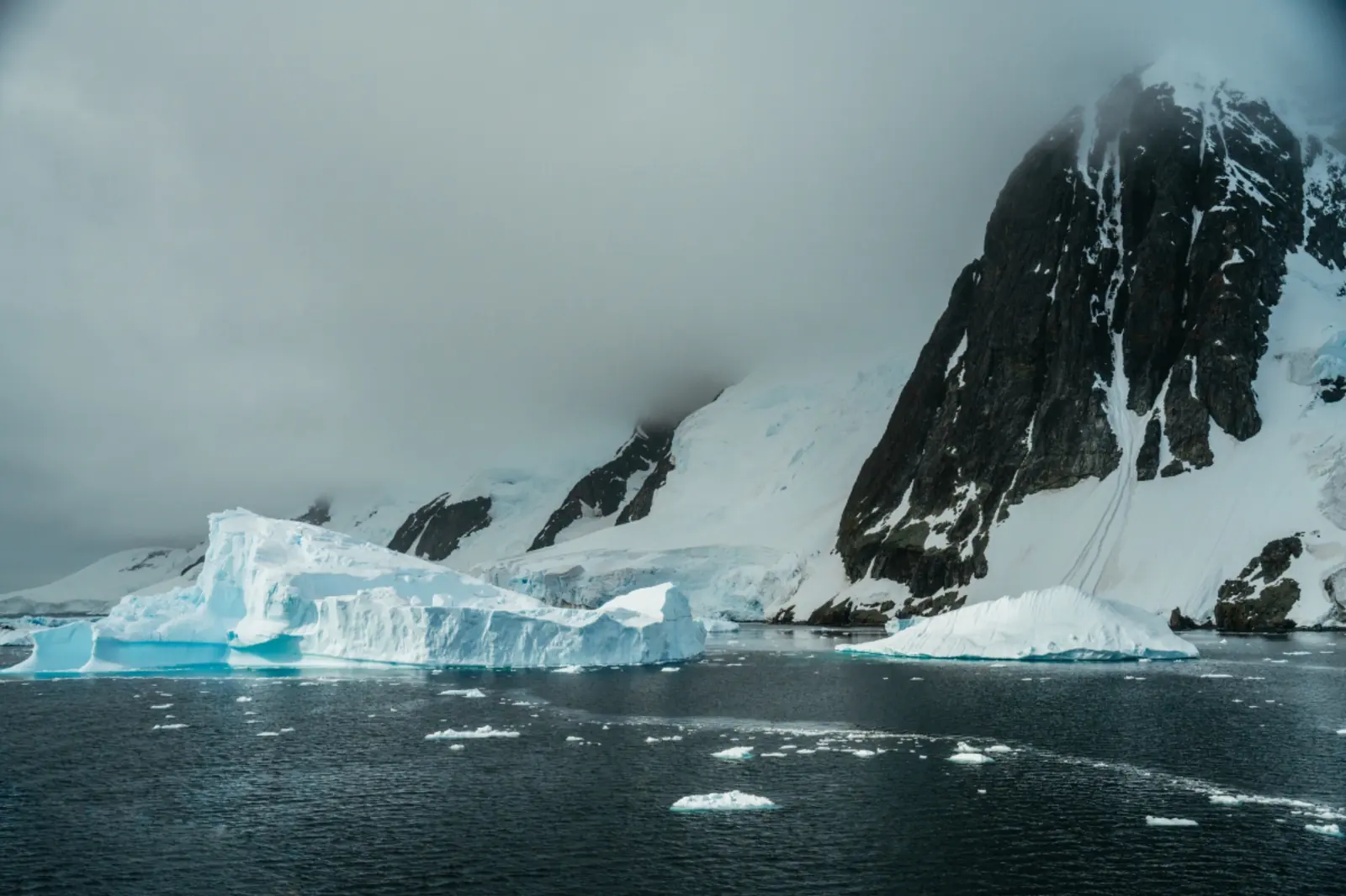 Icebergs beneath dark mountain ridges and low polar cloud.