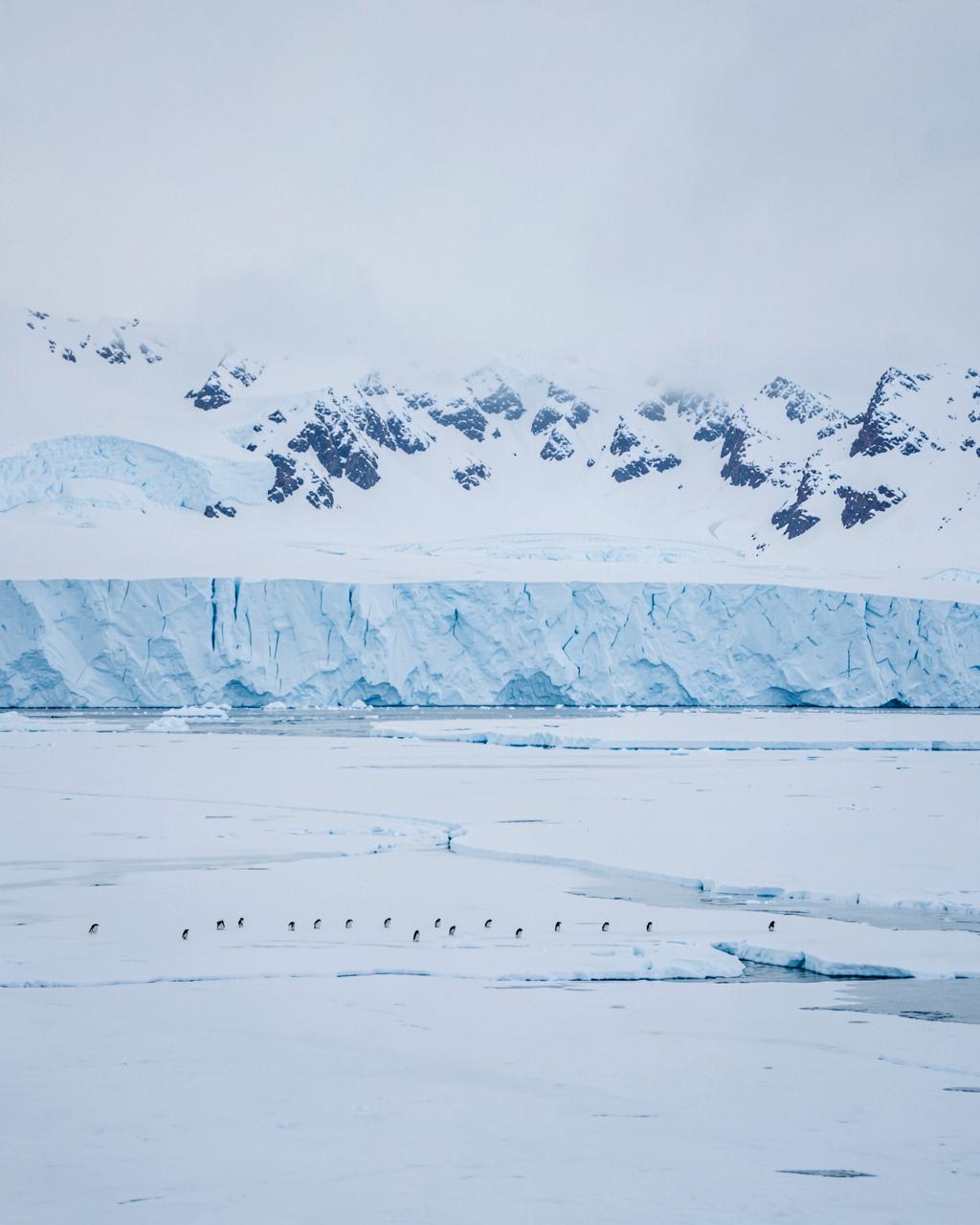 Antarctica polar landscape